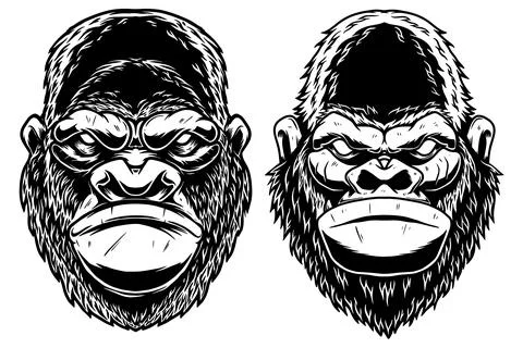 Set of Illustrations of head of gorilla ape in vintage monochrome style. Desi Stock Illustration