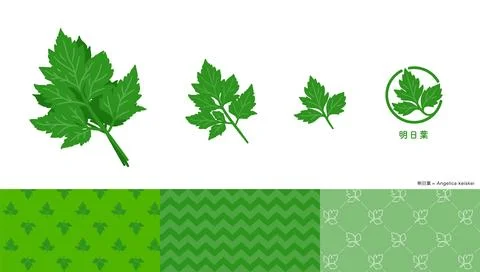 Set of illustrations, icons and patterns of angelica. Stock Illustration