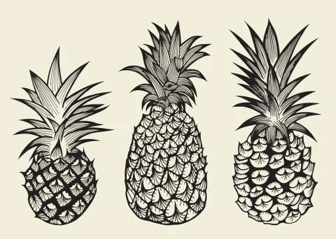 Set illustrations of ripe pineapples. Stock Illustration