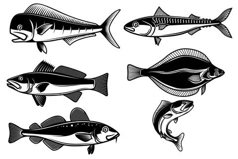 Set of illustrations of sea fish isolated on white background. Design element Stock Illustration