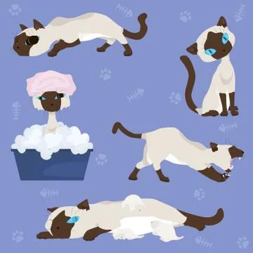 Set of illustrations - Siamese cat Stock Illustration