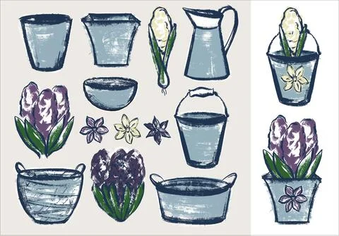 A set of illustrations. Spring hyacinth, planters and flower pots. In the style Stock Illustration