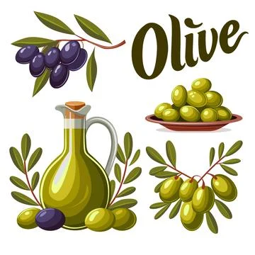 A set of illustrations on the theme of olives. A branch of black olives, gr.. Stock Illustration