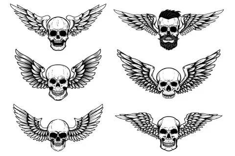 Set of illustrations of winged skull isolated on white background. Design ele Stock Illustration