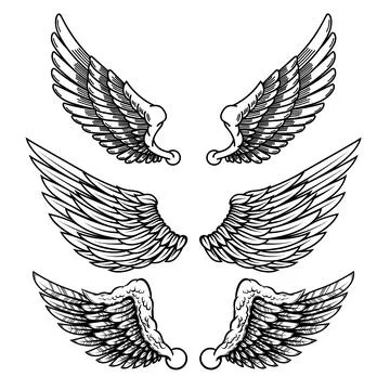 Set of illustrations of wings in engraving style. Gothic style wings tattoo.. Stock Illustration