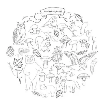 Set with the image of leaves, branches, berries, flowers, animals and birds, Stock Illustration