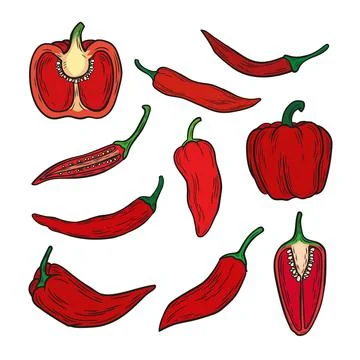 A set with the image of pepper 스톡 일러스트