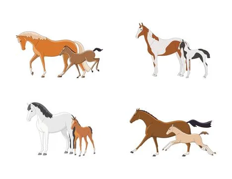 A set of images of a mare with foals 스톡 일러스트