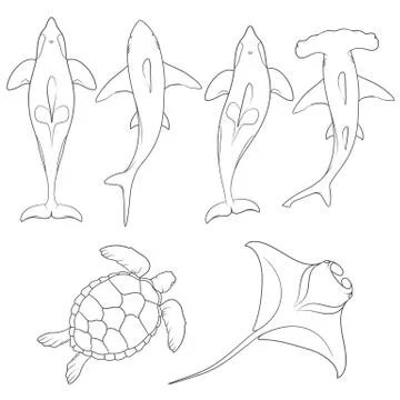 Set of images with marine animals. Vector black and white isolated objects. Stock Illustration