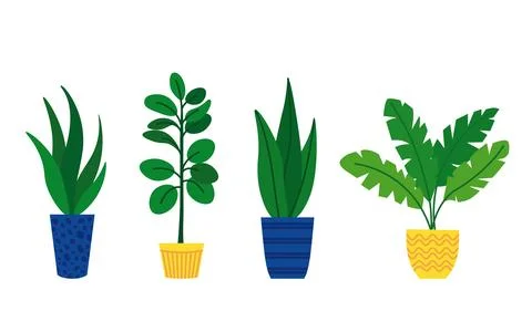Set of indoor plants in pots in a flat style. Stock Illustration