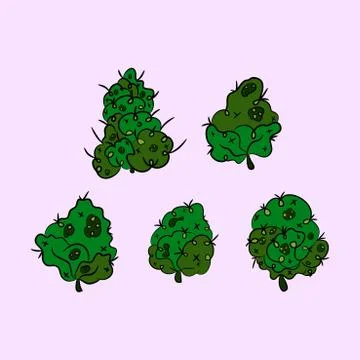 Set of inflorescence hemp. Marijuana. Vector illustration. 库存插图