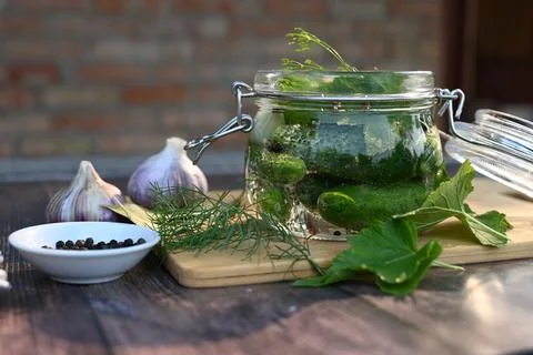 A set of ingredients for pickling cucumbers, pickled cucumbers, brine. Stock Photos