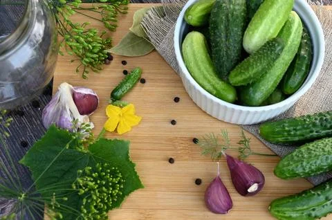 A set of ingredients for pickling cucumbers, pickled cucumbers, brine. Stock Photos