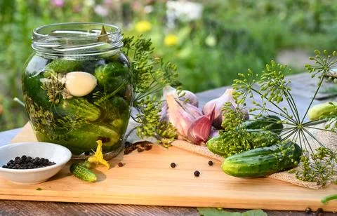 A set of ingredients for pickling cucumbers, pickled cucumbers, brine. Stock Photos