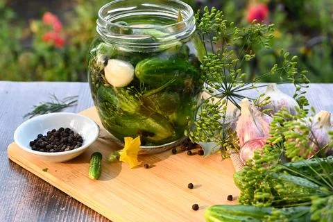 A set of ingredients for pickling cucumbers, pickled cucumbers, brine. Stock Photos