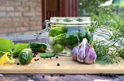 A set of ingredients for pickling cucumbers, pickled cucumbers, brine. Stock Photos