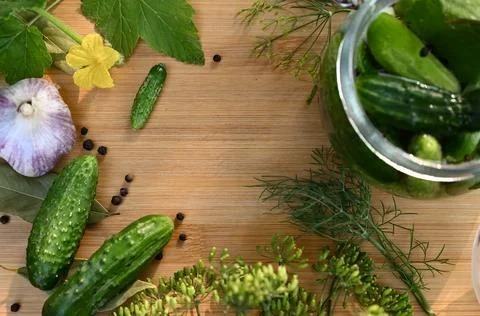 A set of ingredients for pickling cucumbers, pickled cucumbers, brine. Stock Photos