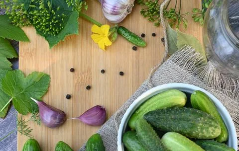 A set of ingredients for pickling cucumbers, pickled cucumbers, brine. Stock Photos