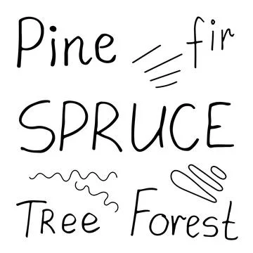 A set of inscriptions Pine, Spruce, Forest, Tree, Fir line art. Hand drawn ve Stock Illustration