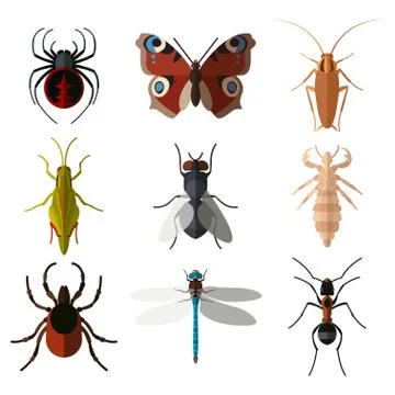 Set of insect flat icons1 Stock Illustration