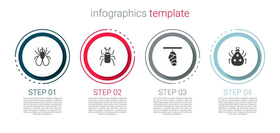 Set Insect fly, Beetle bug, Butterfly cocoon and Ladybug. Business infographic Illustrazione stock