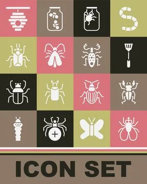 Set Insect fly, Beetle deer, Fly swatter, Spider in jar, Clothes moth, bug, Hive Stock Illustration