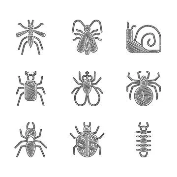 Set Insect fly, Mite, Centipede, Spider, Ant, Beetle bug, Snail and Mosquito Illustration