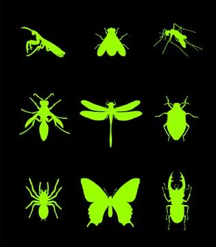 Set of insect vector silhouette illustration isolated Illustrazione stock