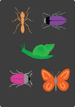 Set of insects illustration Stock Illustration
