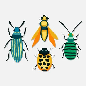 Set of insects isolated on white background Stock Illustration