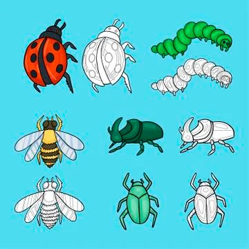 Set of insects. Vector cartoon cute illustration Stock Illustration