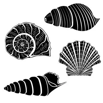 The set is an insulated seashell. Vector illustration, black stencil icon Stock Illustration