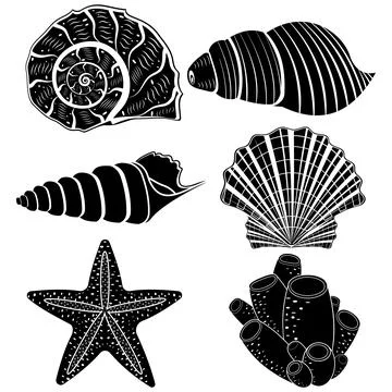 The set is an insulated seashell. Vector illustration, black stencil icon Stock Illustration