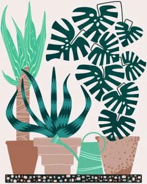 Set of interior plants in flower pots. Stock Illustration