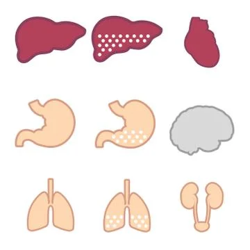 Set of internal organs: liver, lungs, brain, kidneys, heart. Liver injury, .. Stock Illustration