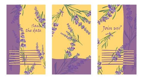 Set invitation cards with flower frame Lavender Stock Illustration