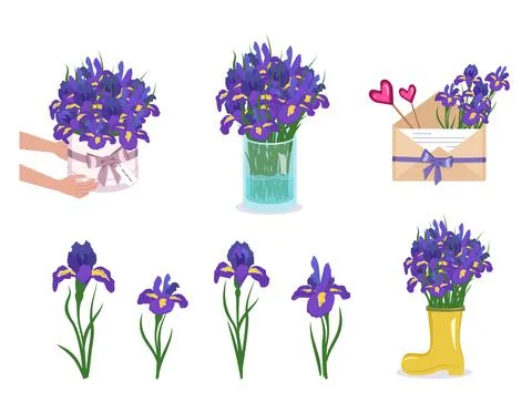 A set of irises, flowers in a round box, vase and envelope. Spring and summer Stock Illustration