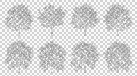 Set of isolated black and white tree silhouettes for architectural landscap.. 스톡 일러스트