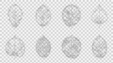 Set of isolated black and white leaf silhouettes for botanical design and n.. Stock Illustration