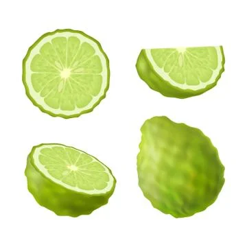 Set of isolated colored green bergamot, kaffir lime, half, slice, circle and  Stock Illustration