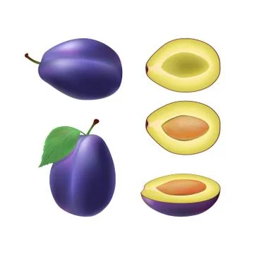 Set of isolated colored plum, half, slice with pit and whole juicy fruit with Stock Illustration