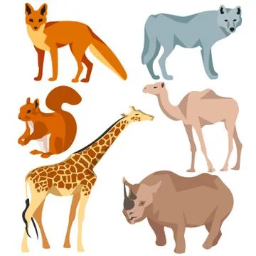 Set Isolated different animals fox, wolf, giraffe, protein, camel, rhinoceros Stock Illustration
