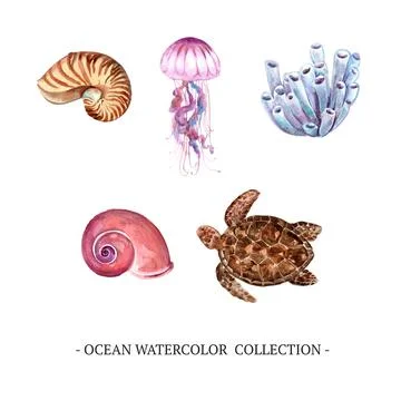 Set of isolated elements of watercolor ocean  illustration on white backgroun Stock Illustration