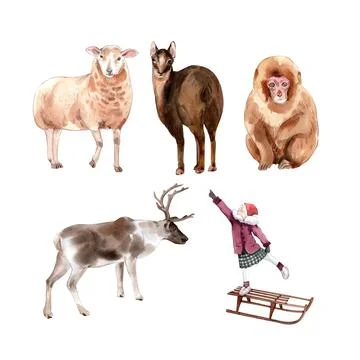 Set of isolated elements of watercolor winter animal illustration on white ba 스톡 일러스트