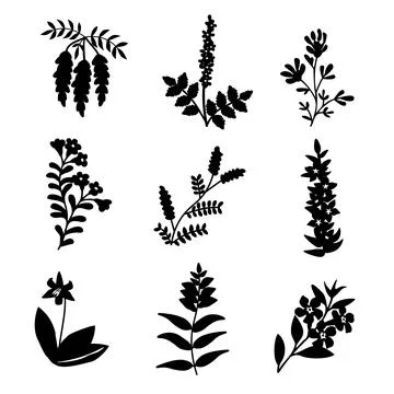 Set isolated flowers Stock Illustration