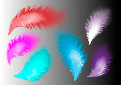 Set of isolated fluffy twirled feathers isolated Stock Illustration