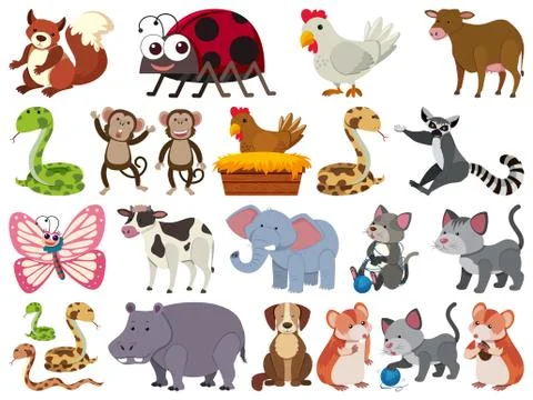 Set of isolated objects theme farm animals イラスト素材