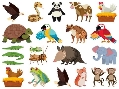 Set of isolated objects theme wild animals Stock Illustration