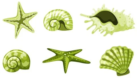 Set of isolated seashells in green color 스톡 일러스트