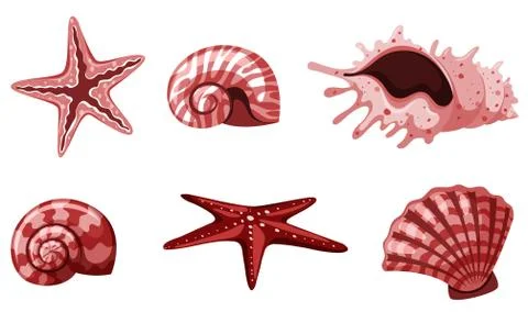 Set of isolated seashells in red color 스톡 일러스트
